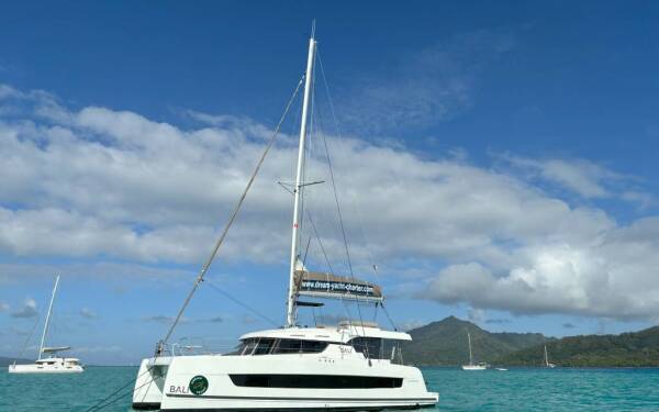 Bali Catspace LITTLE FROG