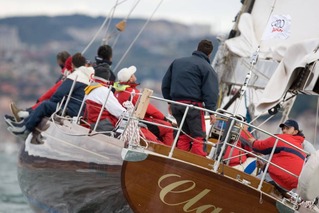 Sciarelli 62.5 Clan II