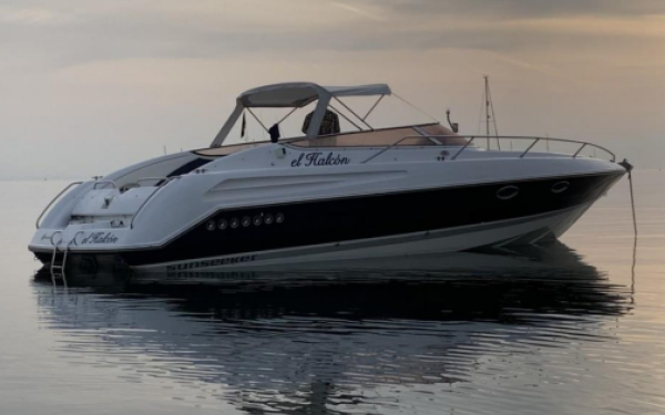 Sunseeker Hawk 31 El Halcon